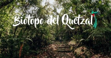 Biotopo del Quetzal Baja Verapaz Guatemala