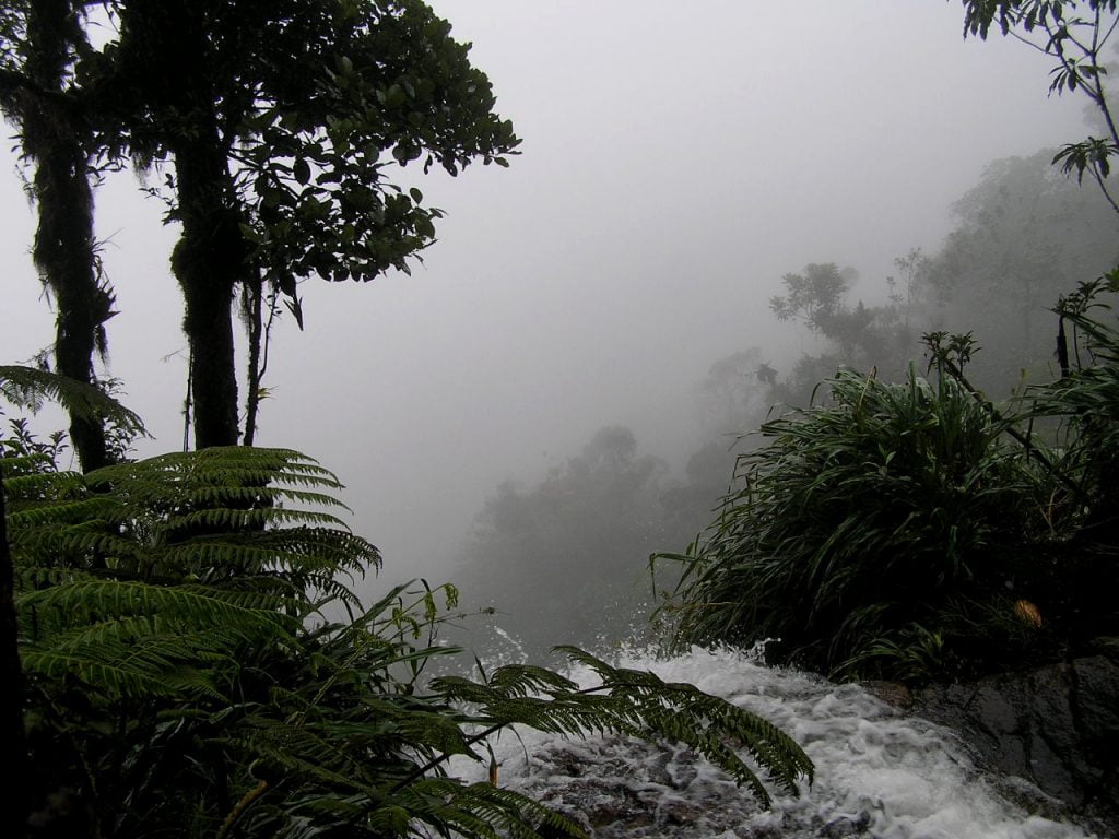 Biotopo del Quetzal Baja Verapaz Guatemala