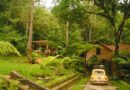 La Reserva Natural Privada Orquigo Alta Verapaz Guatemala