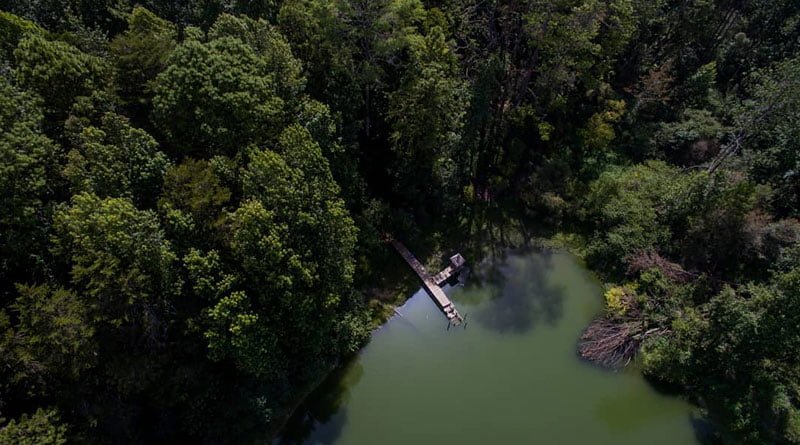 Parque Nacional Las Victorias Alta Verapaz Guatemala