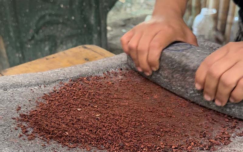Tuqtuquilal Cacao Tour Experience Alta Verapaz Guatemala