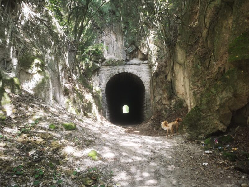 Antiguo túnel férreo