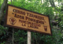 Cerro Tzankujil Nature Reserve