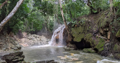 Finca El Paraíso