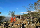 Finca El Pedregal