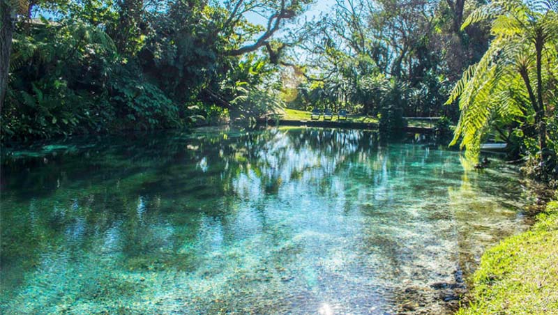Finca El Zapote