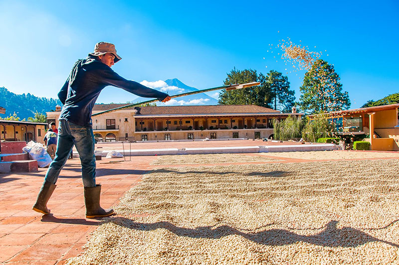 Finca Filadelfia