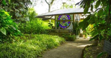Jardín Botánico