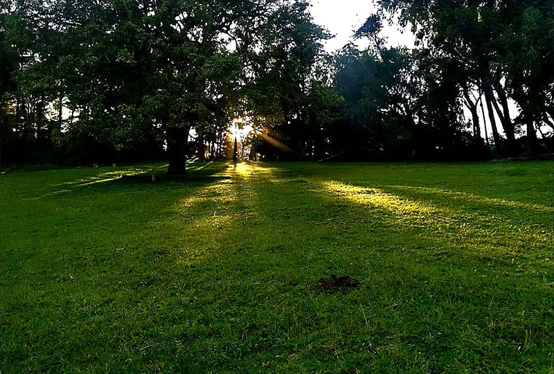 La Granja de Don Pietro