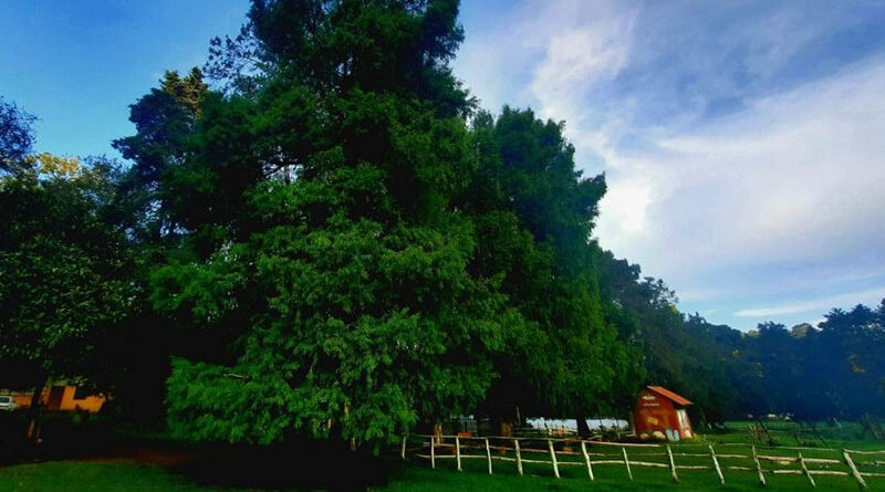La Granja de Don Pietro
