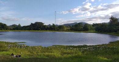 Laguna El Jute