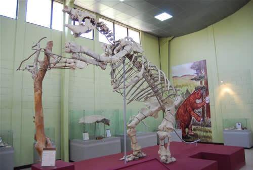 Museo de Paleontologia y Arqueología de Estanzuela