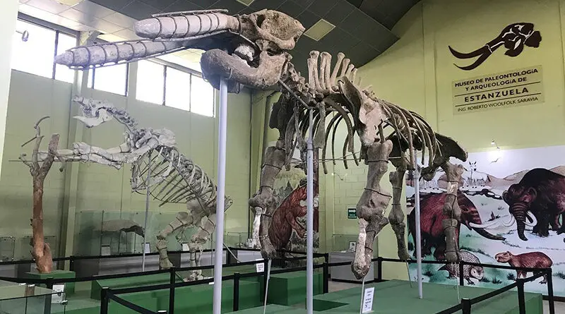 Museo de Paleontologia y Arqueología de Estanzuela