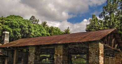 Museo Regional Del Trapiche