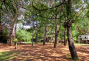 Parque de camping, RV y ecológico Casa Tzocomá