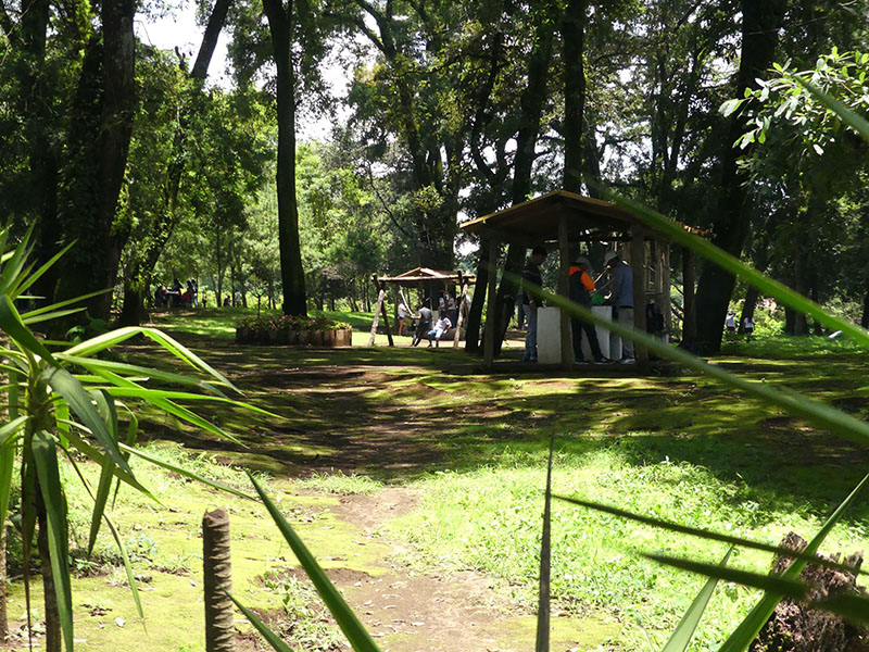parque_ecológico_florencia