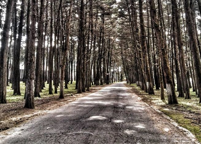 parque_ecológico_florencia
