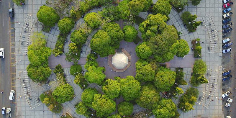 Parque Ismael Cerna