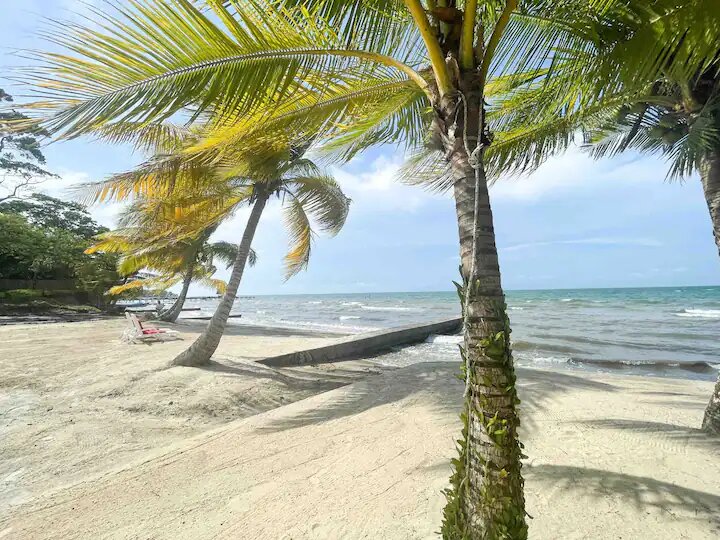 Punta de Manabique