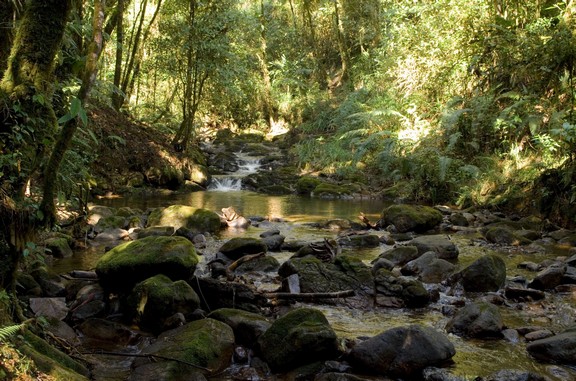 Ranchitos del Quetzal