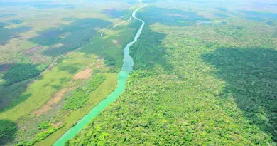 Reserva de Biosfera Maya