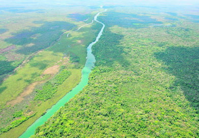 Reserva de Biosfera Maya