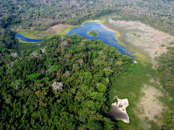 Reserva de Biosfera Maya