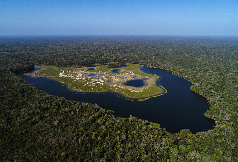 Reserva de Biosfera Maya
