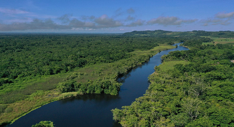 Reserva de Biosfera Maya