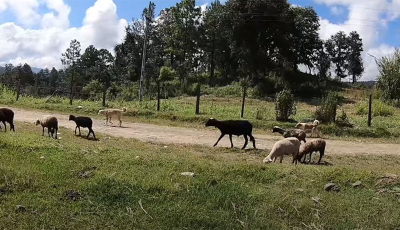 Sierra de Chuacús