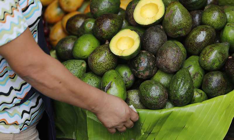 Tour de Aguacate