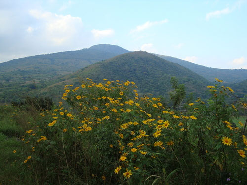 Volcan Amayo