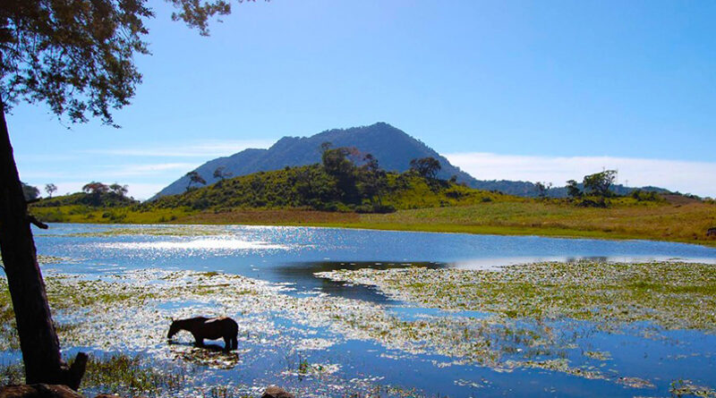 Volcán Moyuta