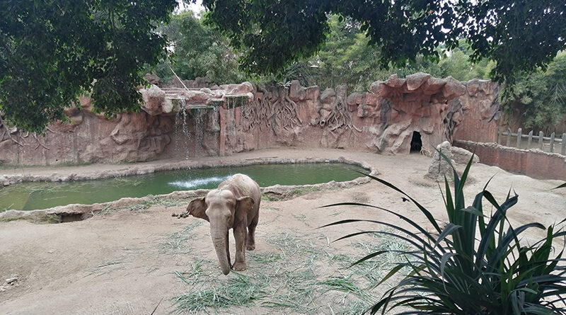 Zoológico La Aurora