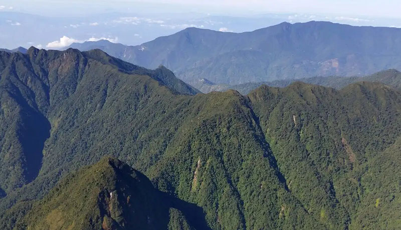 Sierra de Las Minas