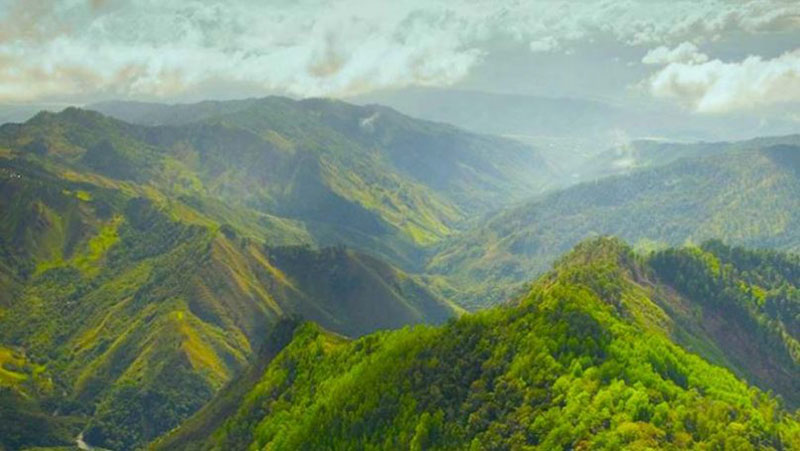 Sierra de Las Minas