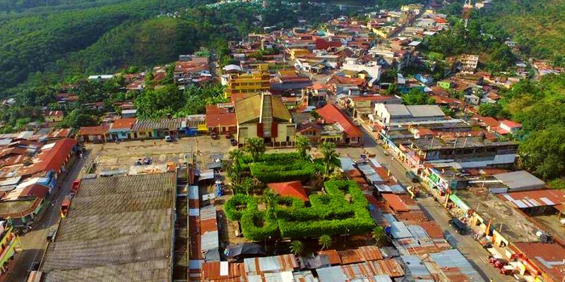 Flores Costa Cuca