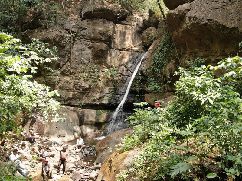 Palín