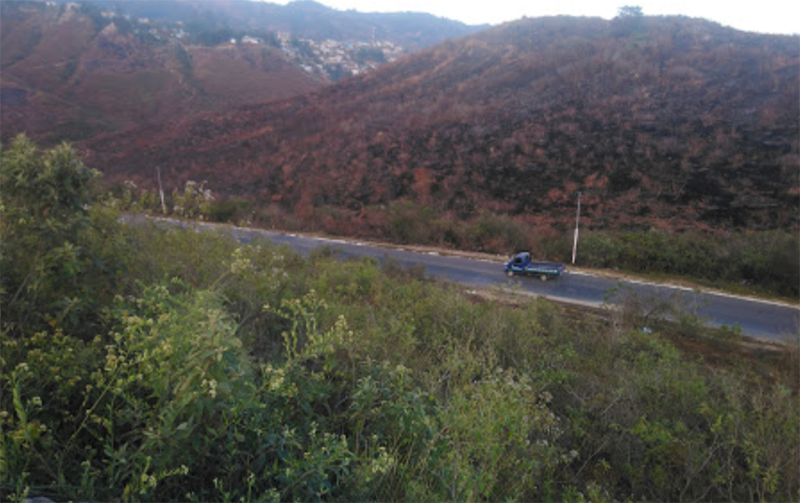 San Pedro Ayampuc