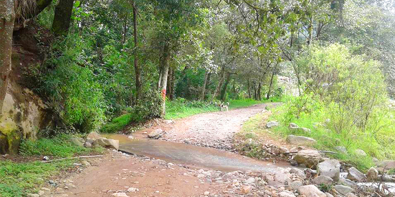 Santa Bárbara
