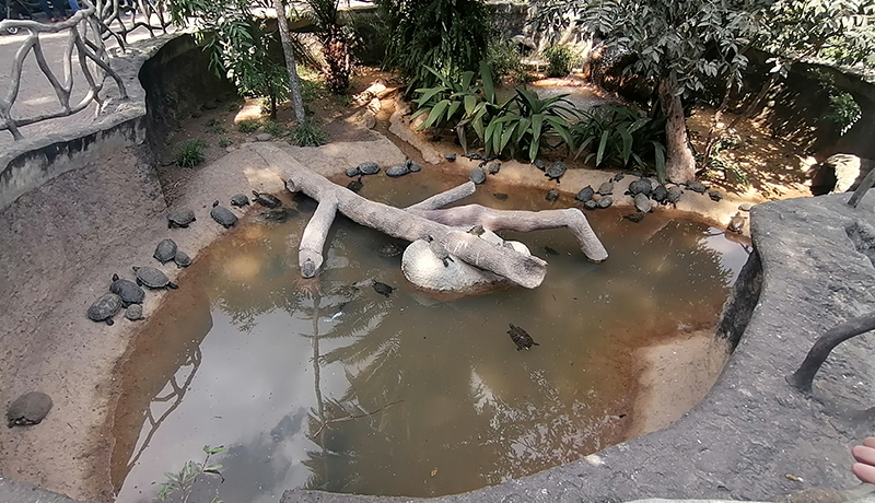 Zoológico La Aurora