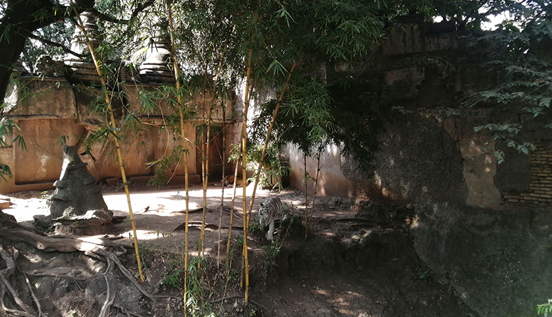 Zoológico La Aurora