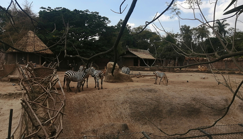 Zoológico La Aurora