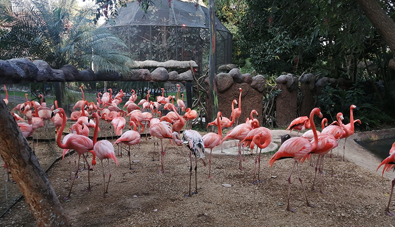 Zoológico La Aurora