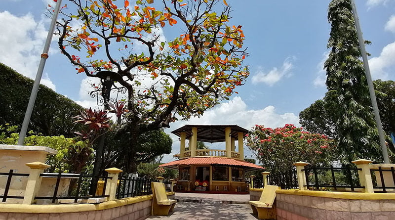 Patulul