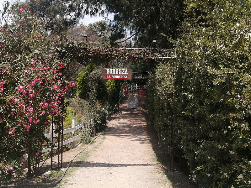 Bonanza La ponderosa, Tecpán