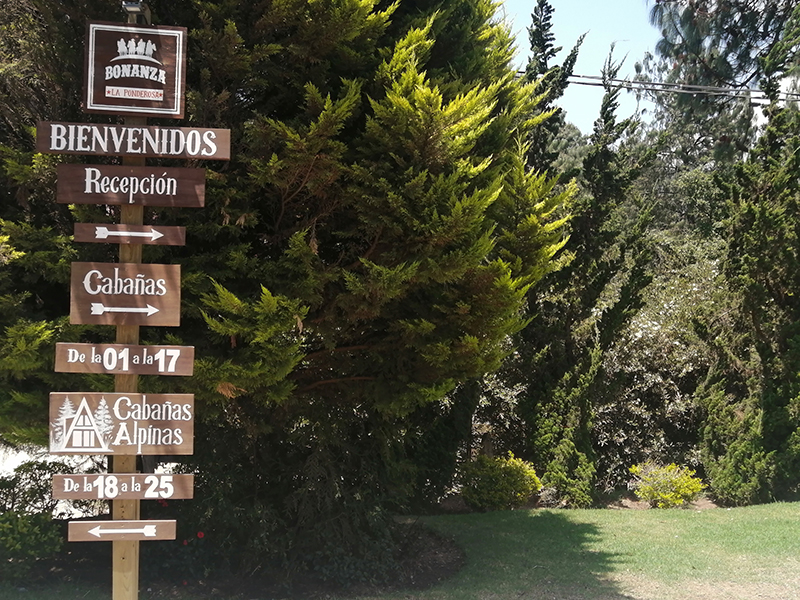 Bonanza La ponderosa, Tecpán