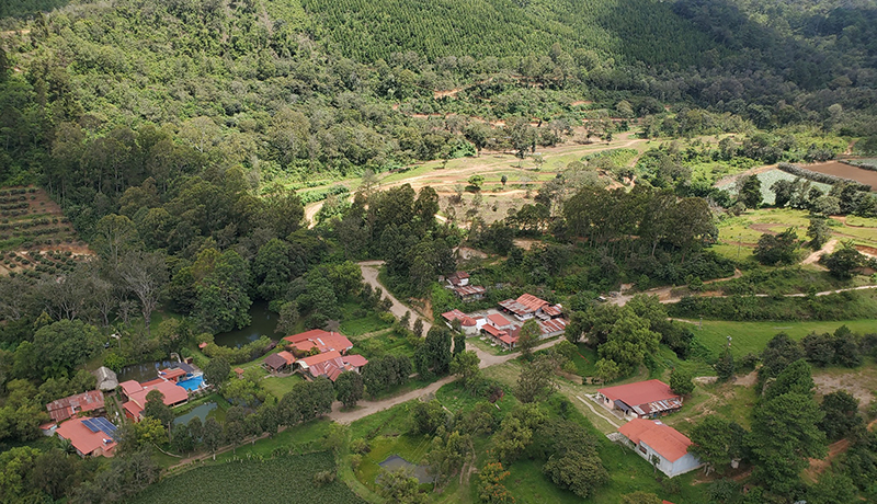 Finca Xejuyú