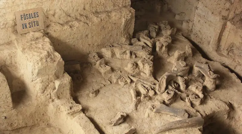 Cueva del Mamut