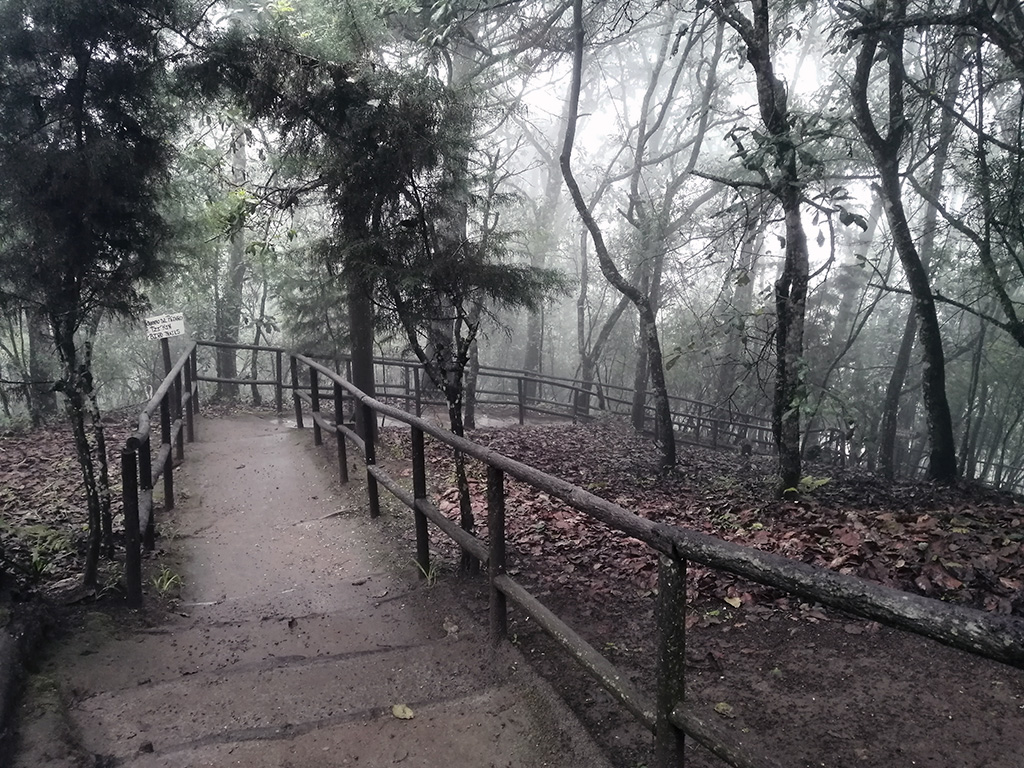 Parque Ecológico Municipal Senderos de Alux